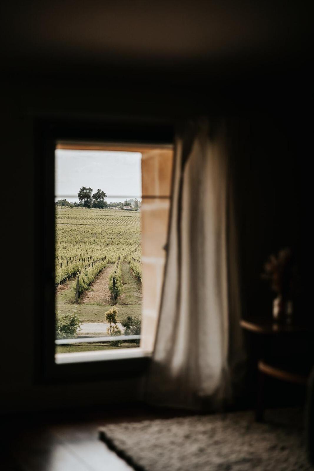 Chateau La Grande Clotte Lussac  Pokoj fotografie
